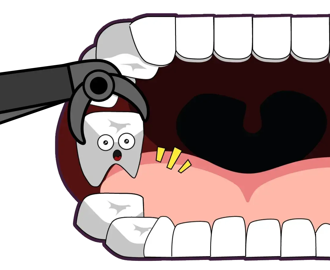 Recommended dental services in Thailand