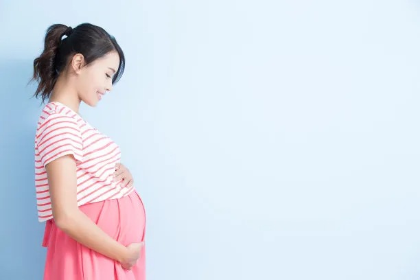Essential Precautions to Take Before Embarking on Surrogacy