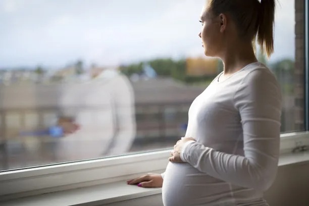 Important Safety Measures to Consider Before Embarking on Surrogacy