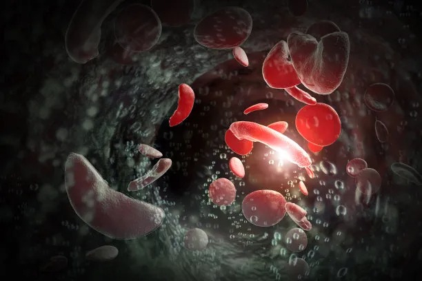 Advancements in Global Cardiovascular Disease Treatment Options