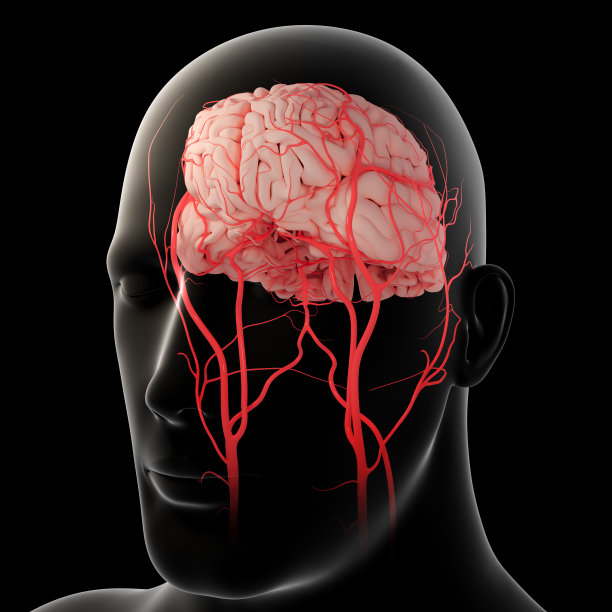 Innovative Solutions for Global Cardiovascular Disease Treatment