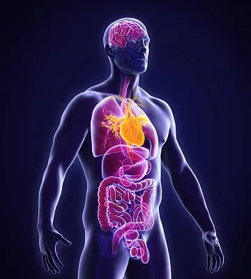 Advancements in Global Management of Cardiovascular Disease