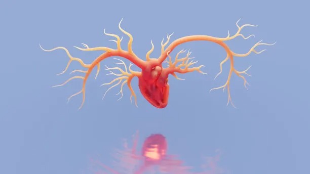 Advancements in International Cardiovascular Disease Care