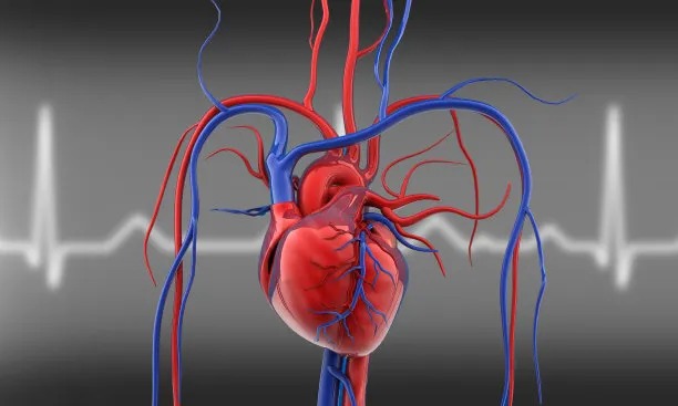 Advancements in International Treatment of Cardiovascular Diseases