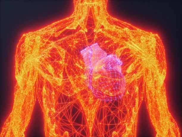 Advancing Cardiovascular Care Across Borders