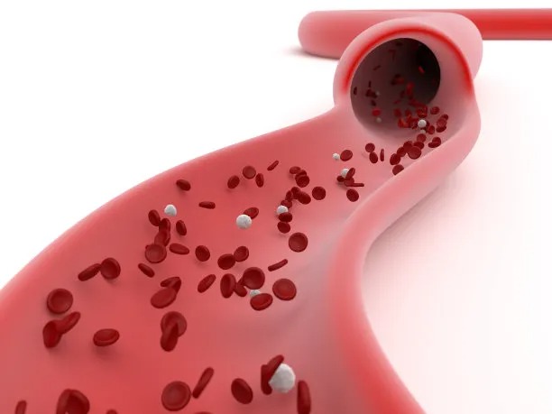 Enhancing Global Health: Advancements in Cross-Border Cardiovascular Care