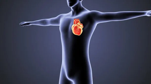 Enhancing Global Health: Advancements in Cross-Border Cardiovascular Care