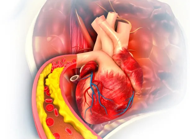 Enhancing Patient Care: Innovations in Cross-Border Cardiovascular Treatment