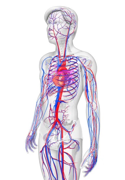 Expanding Horizons: Innovations in Cross Border Cardiovascular Care