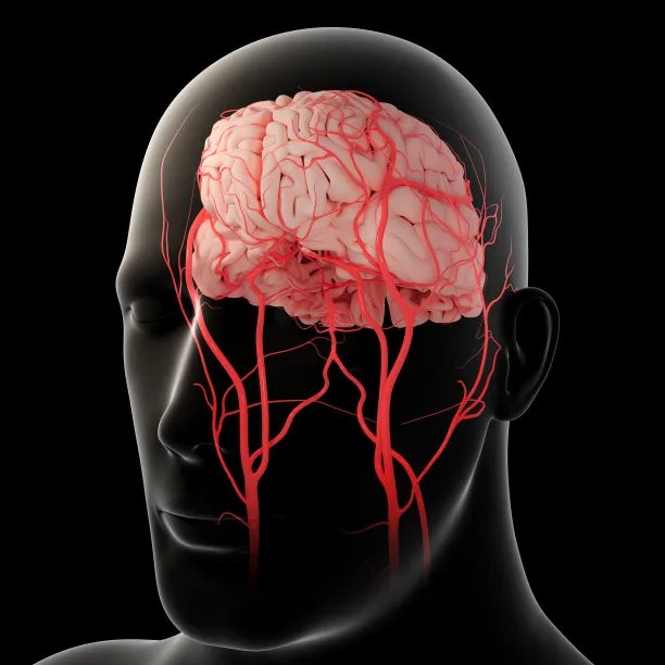 Global Collaboration in Fighting Cardiovascular Diseases