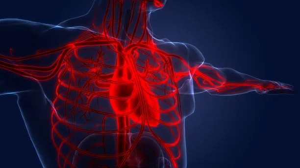 Global Collaborations in Cardiovascular Disease Treatment