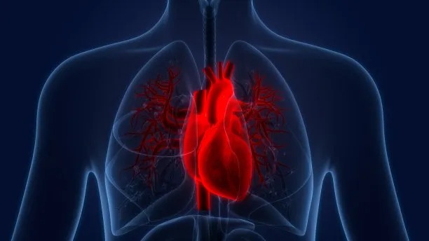 Global Collaborations in Cardiovascular Disease Treatment