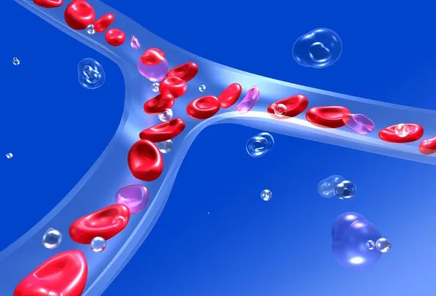 Improving Cross-border Cardiovascular Disease Treatment Efficiencies