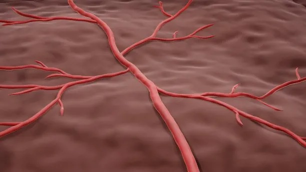 Innovations in Collaborative Cross-Border Cardiovascular Disease Treatment