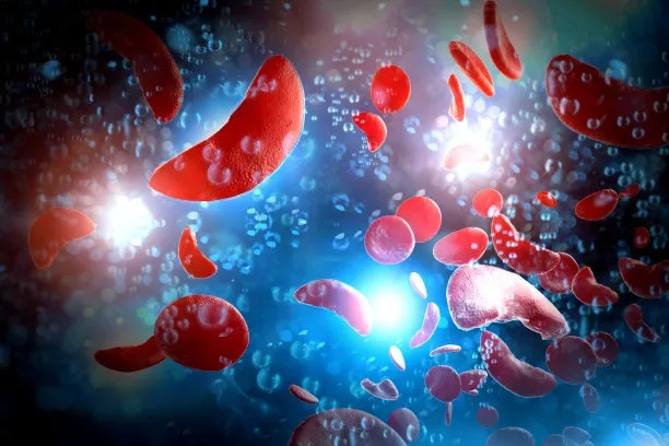 Innovative Approaches for Cross-Border Cardiovascular Disease Treatment