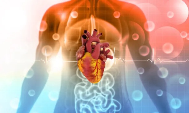Innovative Approaches for Treating Cardiovascular Diseases Across Borders