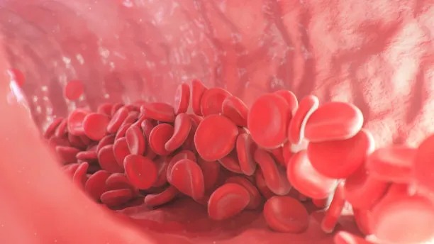 Innovative Approaches in Global Cardiovascular Disease Treatment