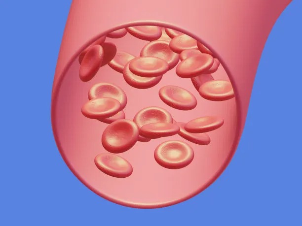 Innovative Approaches in International Cardiovascular Disease Treatment
