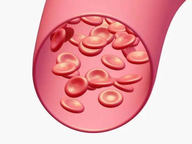 Innovative Approaches in International Cardiovascular Disease Treatment