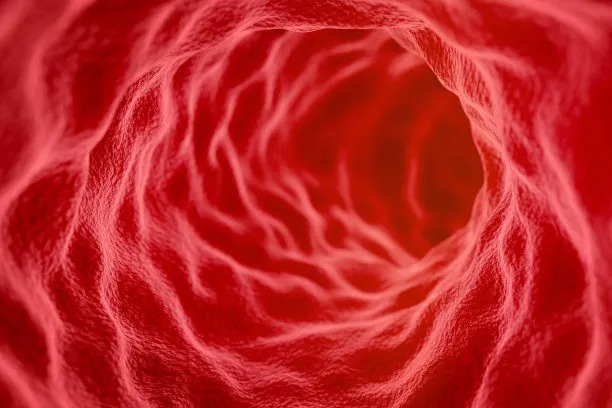 Innovative Approaches to Cross Border Cardiovascular Disease Treatment