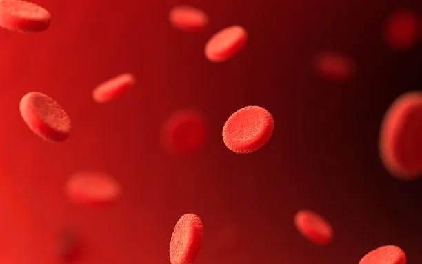Innovative Approaches to Cross Border Cardiovascular Disease Treatment