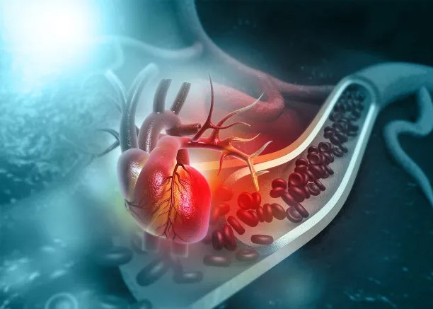Innovative Approaches to Cross-Border Cardiovascular Disease Care