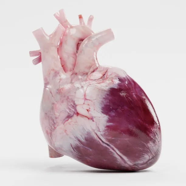 Innovative Approaches to Cross-Border Cardiovascular Disease Treatment