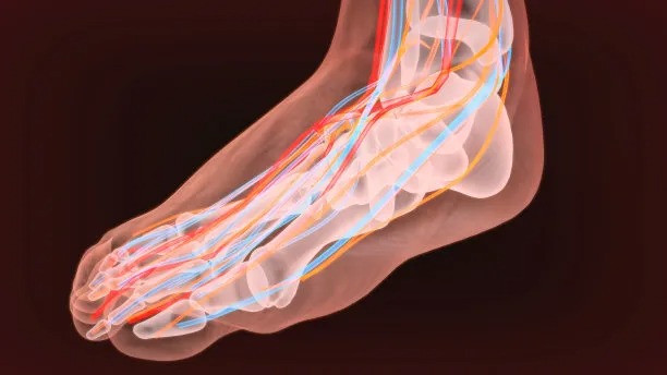 Innovative Approaches to Treat Cardiovascular Disease Across Borders